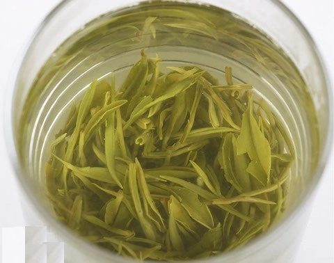 Best Chinese Green Tea Anti-Oxidant King Most Fresh Guzhang Maojian