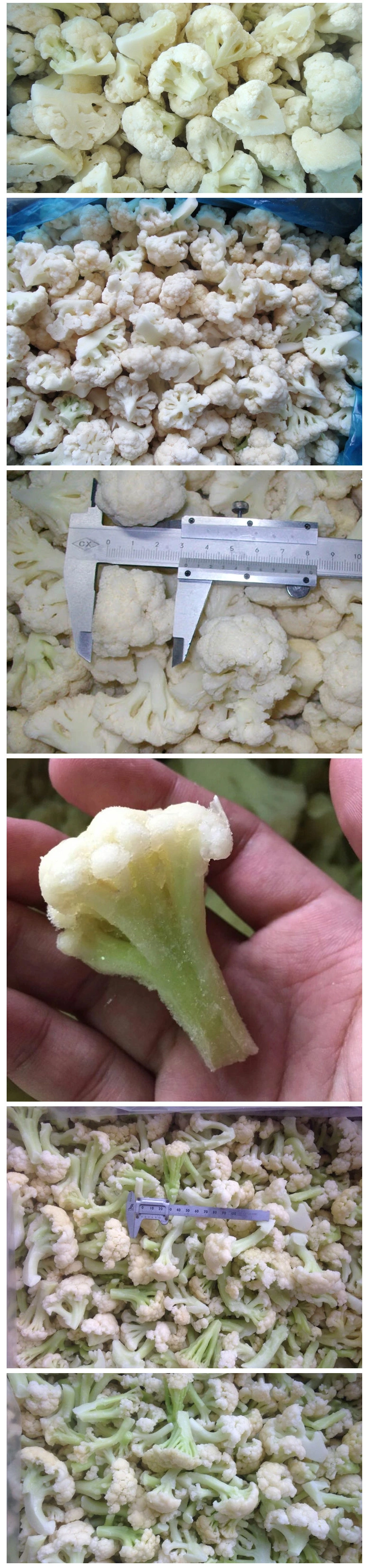 Hot Sale Frozen Cauliflowers Grade a, China IQF Cauliflower, Chinese