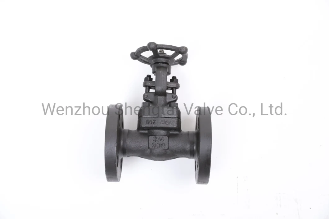 API Integral Flange Wedge Gate Carbon Steel Forged Steel Stainless Steel Gate Valve (Z41H-300LB-DN25)