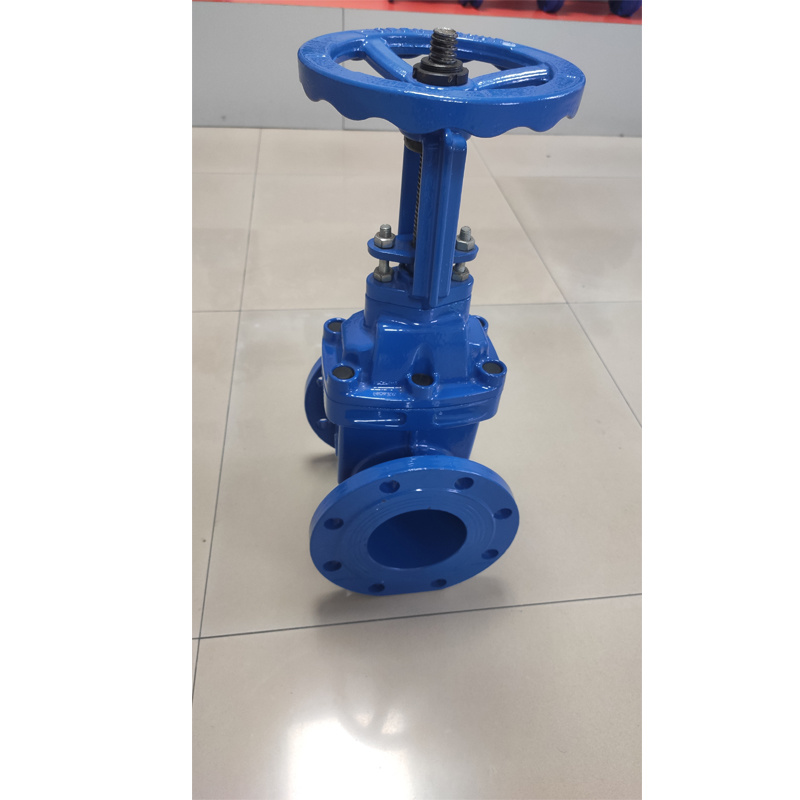 DIN Rising Resilient Seated Gate Valve Ductile Iron Gate Valve Industrial Valve Check Valve Stainless Steel Ball Valve