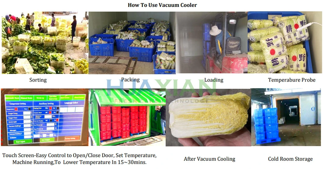 500kg/Cycle Vegetable Farm Cooling Equipment Cooler, 20mins Fast Cooling Vacuum Cooler