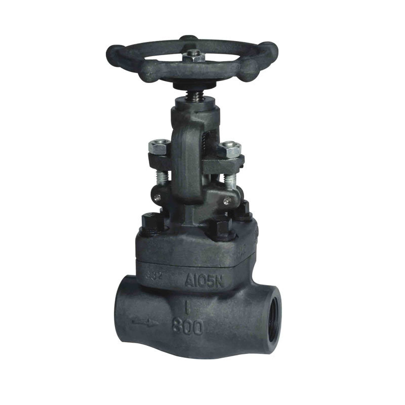 Forged Steel A105 800lb Screwed / Sw Globe Valve