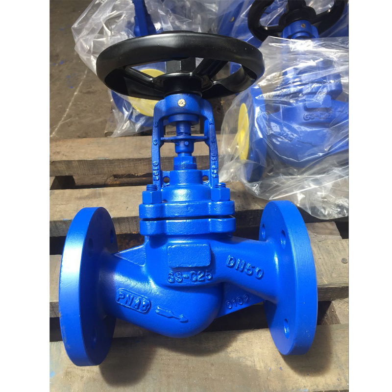 BS/DIN/ANSI/API/GOST Cast Iron Flanged Type RF Bellows Globe Valve Pn16 API Globe Valve Cast Iron Globe Valve