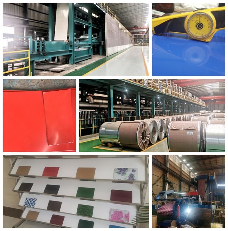 Cq Grade PPGL Prepainted Galvalume Steel Coils for Siding Material