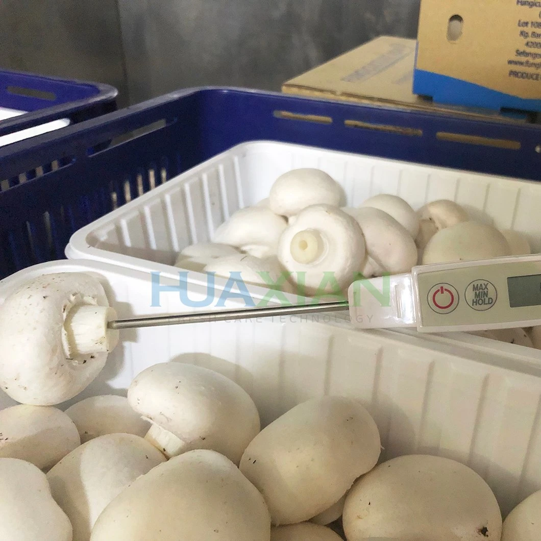 Stainless Steel Pre-Cooling Equipment Vacuum Cooler for Mushroom, Hygiene Power Save Food Cooler