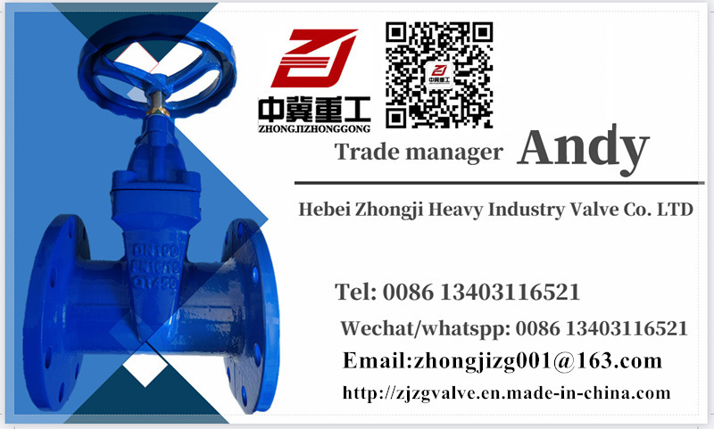 Metal Seal/Resilient Seal Non Rising Stem Flanged/Socket/Grooved Ductile Iron/Cast Iron Gate Valve/Butterfly Valve/Ball Valve/Check Valve