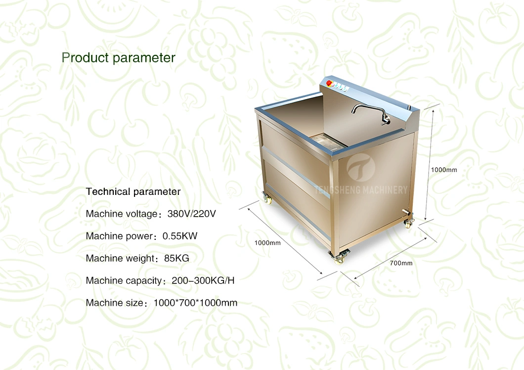 Electric Cleaning Machine Bubble Vegetable Cleaning Machine Fruit and Vegetable Cleaner Lemon Cleaning Machine (TS-AZ)