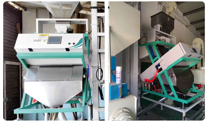 Professional Green Beans Sorting Machine/Red Bean Color Selector/Black Bean Color Sorter From Manufacturer