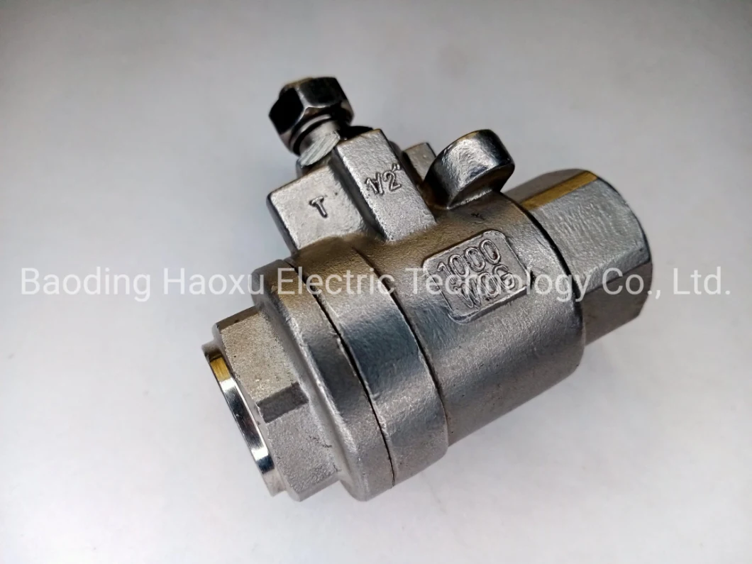 Stainless Steel Check Valve One Way Vertical High Temperature Resistant Steam Valve Check Valve