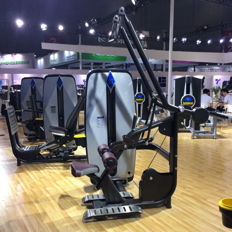 Tz-9006 Back Extension / Fitness Equipment for Commercial Gym
