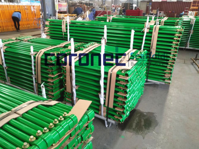 ANSI Certified Building Material/Construction High Quality Horizontal Gooser Scaffold (CSHG)