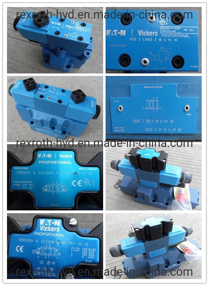 Eaton Vickers Hydraulic Pump/Hydraulic Valve/Piston Pump/Control Valve/Solenoid Valve Coil/Hydraulic Motor/Gear Pump/Proportional Valve/Vane Pump
