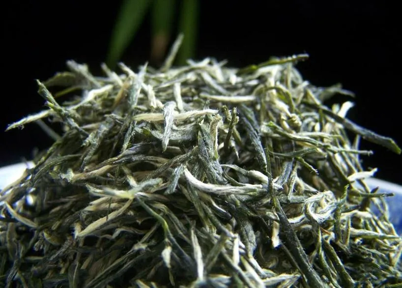China One of The Top Ten Famous Green Teas Guzhang Maojian Organic Green Tea