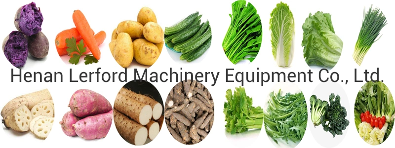 Fruit and Vegetable Vegetable Washing and Drying Processing Machine