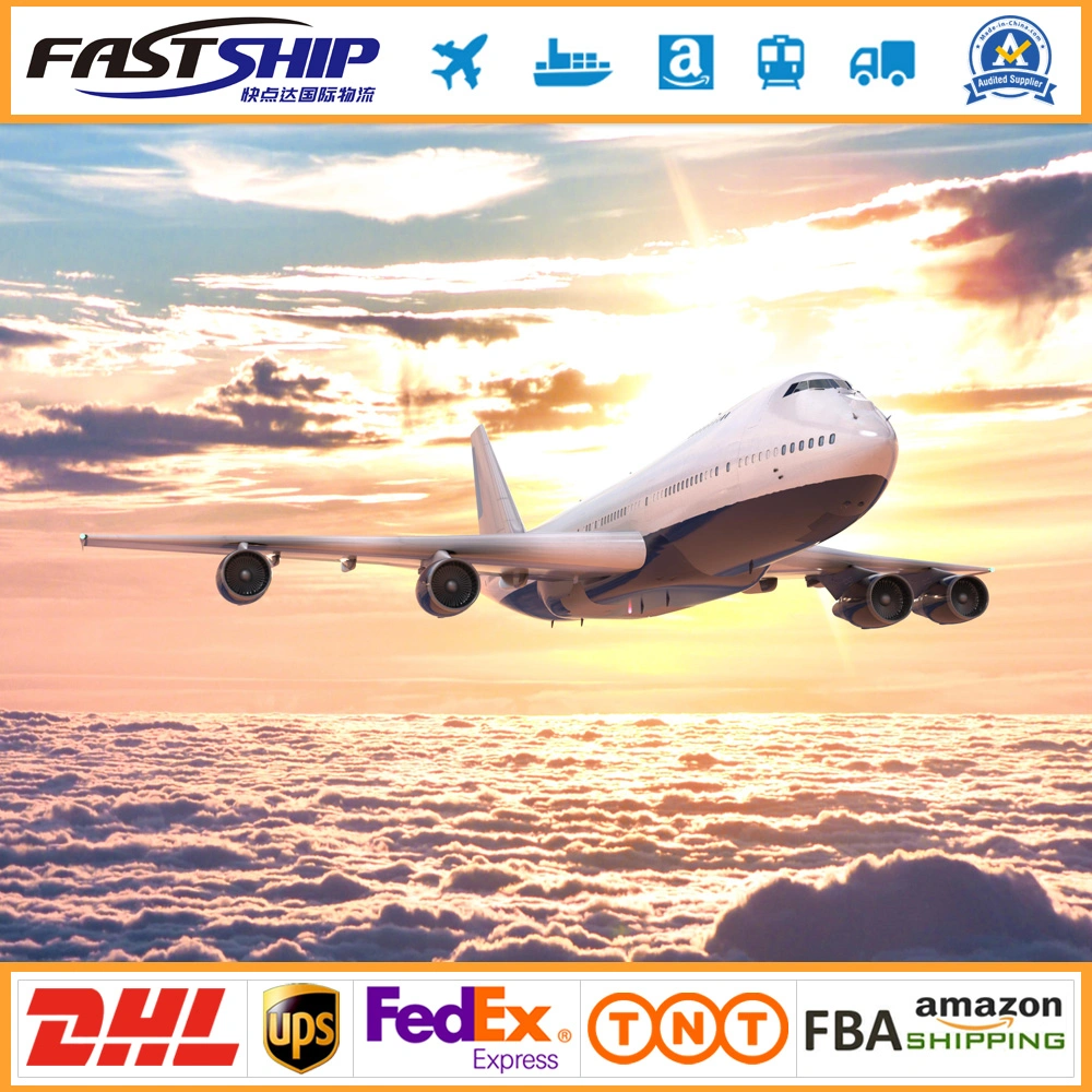 One-Stop Service Fba Door to Door Shipping DHL UPS FedEx TNT to Netherlands