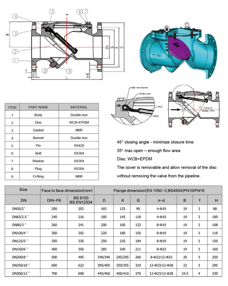 Leading Manufacturer of Industrial for Cast Iron Rubber Flap Check Valve