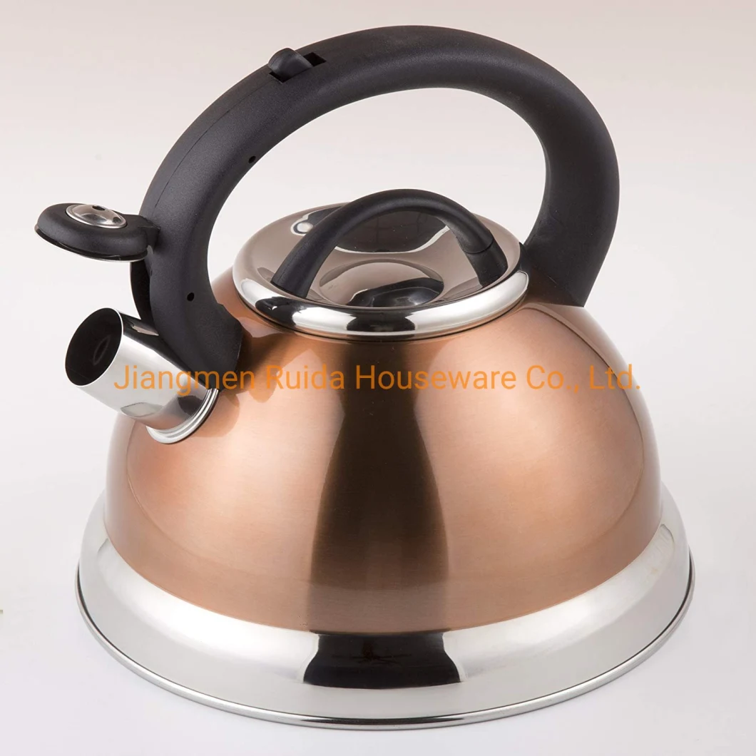 Heat Resistant Copper Painting Nylon Handle Stainless Steel Whistling Kettle Tea Kettle