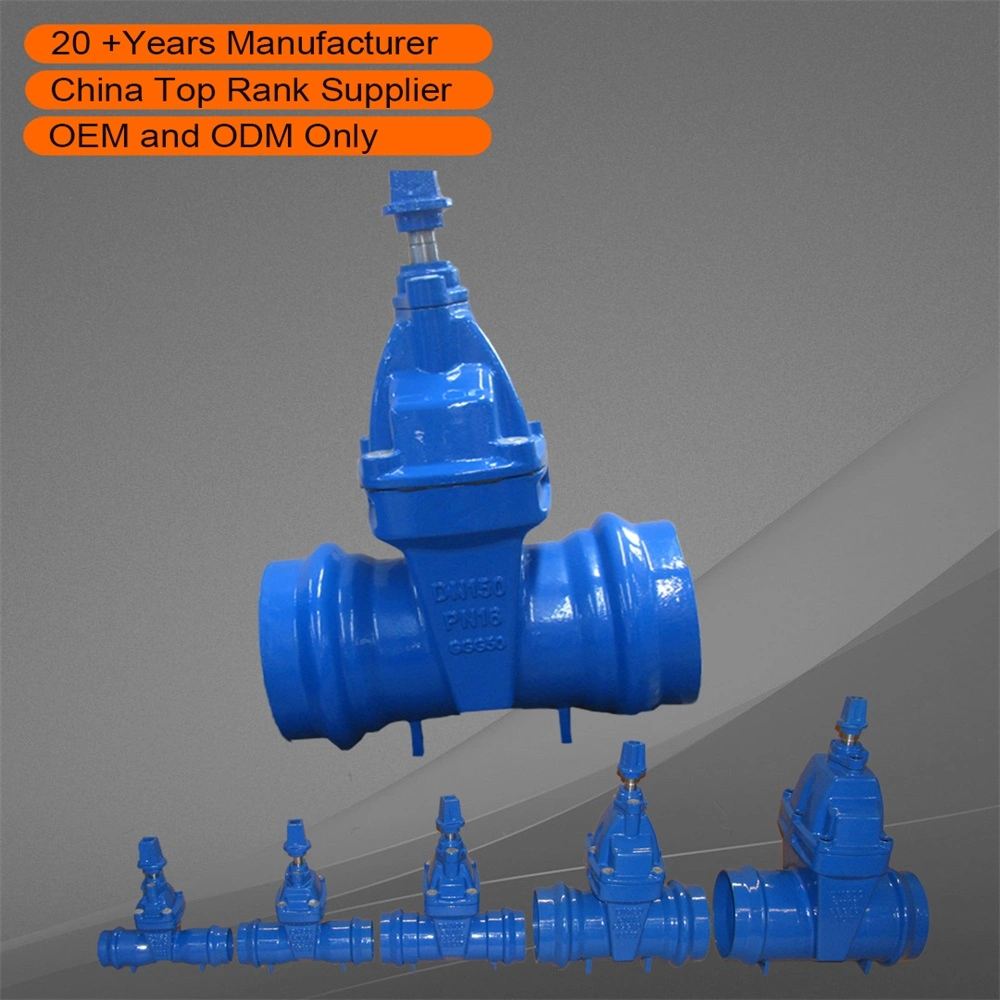 China Wholesale Resilient Gate Valves Oval Body F4 Pn10/Pn16