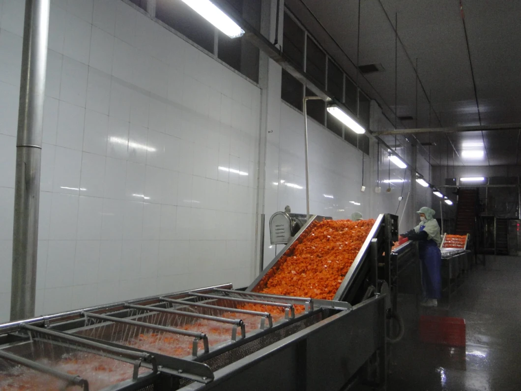 Frozen Carrots Slices, IQF Carrot Slices, IQF Sliced Carrots, Frozen Sliced Carrots