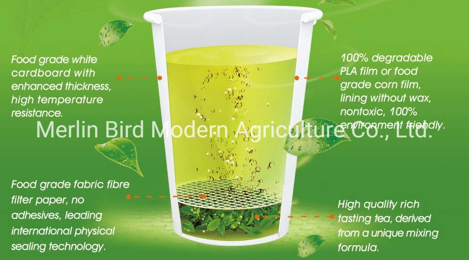 Merlin Bird Brand Instant Creative Cup Tea in Green Tea Black Tea Oolong Tea Flavors