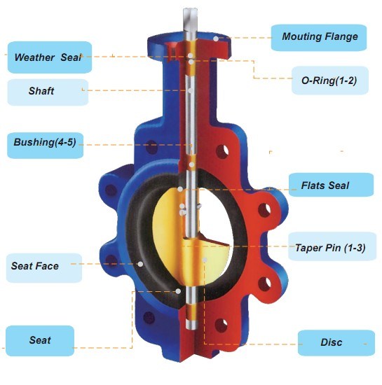 Ductile Iron Lug Type Butterfly Valve with Gear Operator