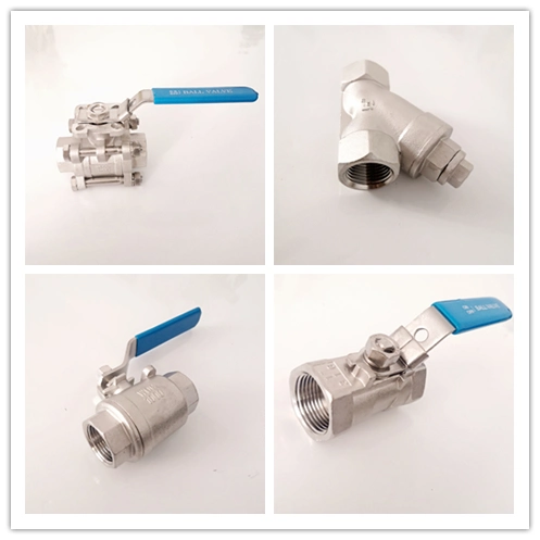 Stainless Steel 2PC Spring Thread Check Valve