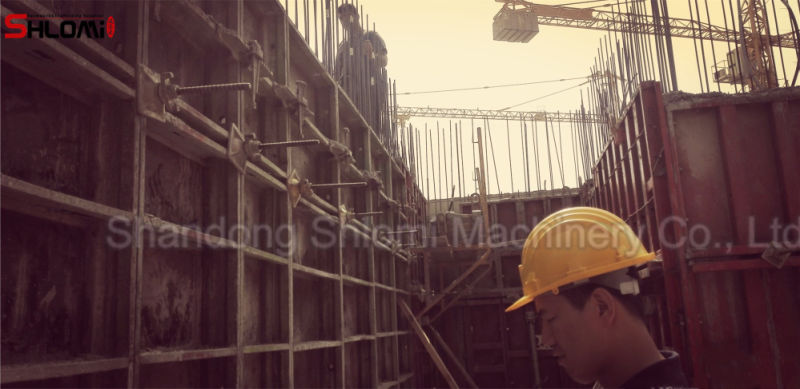 Shlomi Scaffolding Formwork Tie Tod Wing Nut for Construction