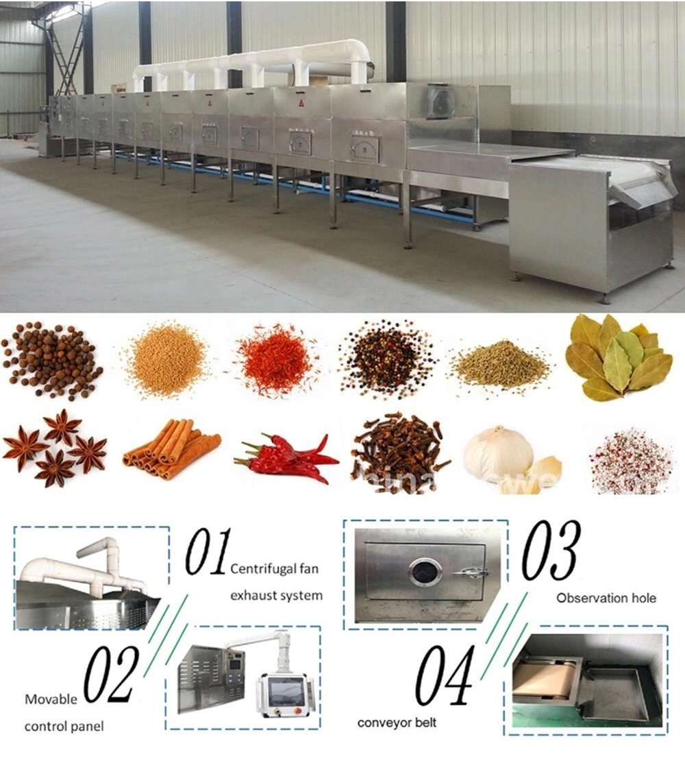 Fully Automatic Vacuum Vegetables Freeze-Drying Machine
