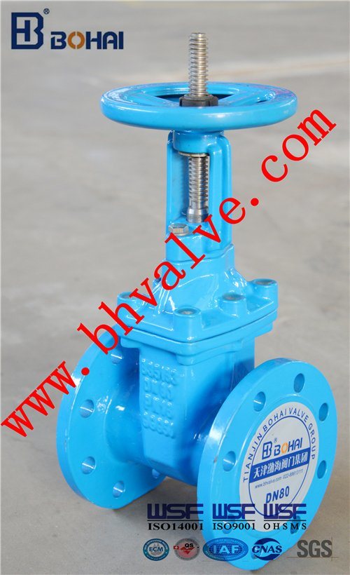 Gate Valve with Non-Rising Resilient Seat for Water Transfer