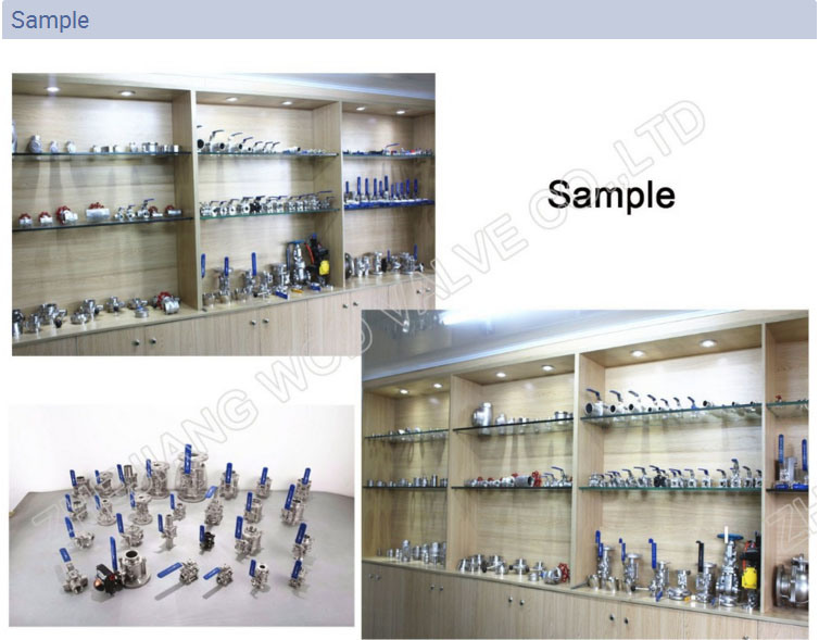 Stainless Steel Industrial Screwed Gate Valve High Quality