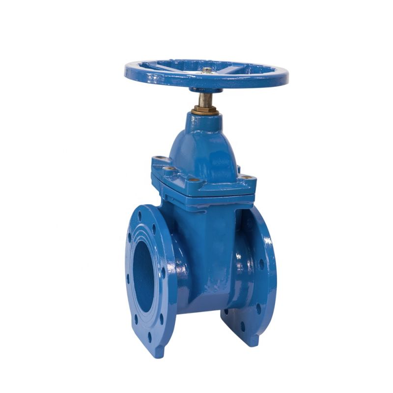 Stainless Steel American Standard Gate Valve