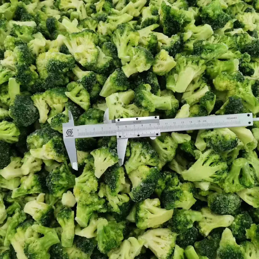 High Quality Fresh Broccoli IQF Broccoli Frozen Broccoli