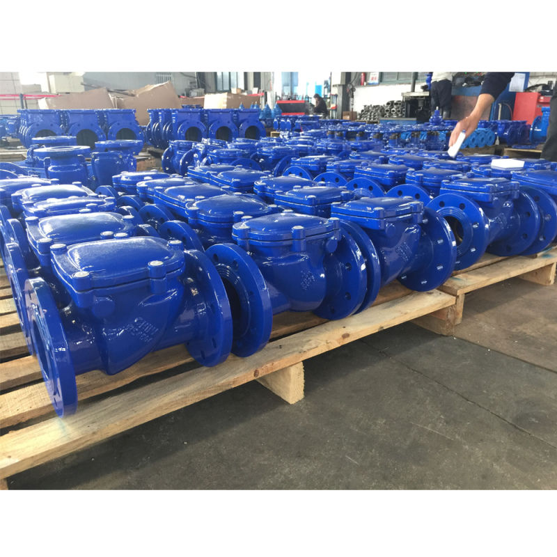 BS Resilient Seat Swing Check Valve Pn16 Swing Type Check Valve 2 Inch Check Valve Spring Loaded Check Valve Quiet Check Valve Union Valve