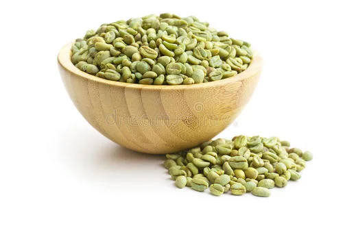 GMP Certified Organic Green Tea Slimming Weight Loss Slim Fat