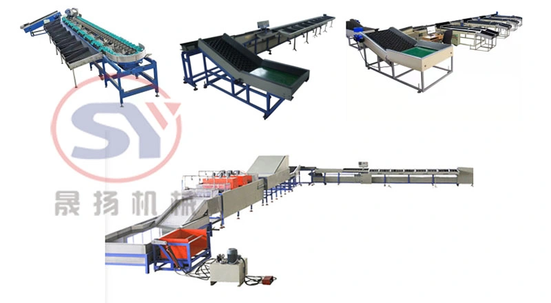 Fruit Vegetable Litchi Longan Size Sorting Grading Selecting Classfication Grader Machine