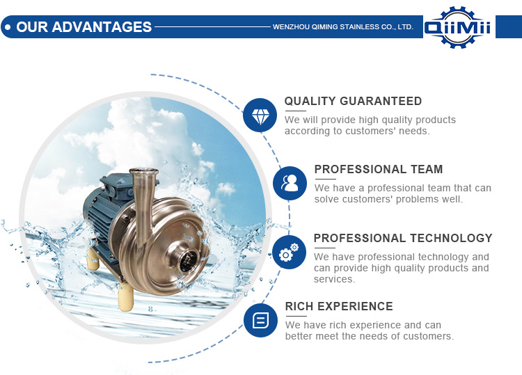 Stainless Steel Check Valve Non Return Valve