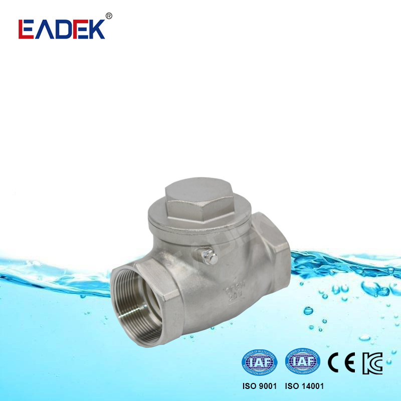 Ss Stainless Steel Swing Check Valve with FF Thread