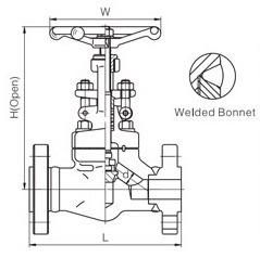 Forged Steel A105 Globe Valve Threaded Trim No. 1