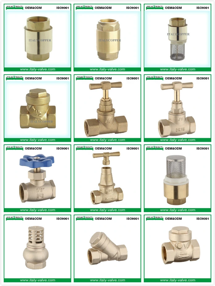 Chinese Factory Made Quality Brass Forged Gate Valve (AV4050)