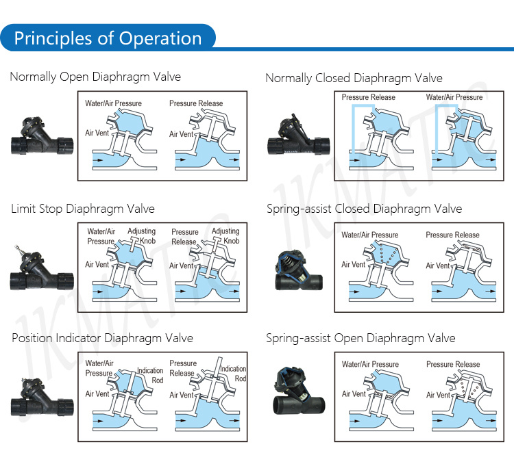 Butterfly Valve Globe Valve