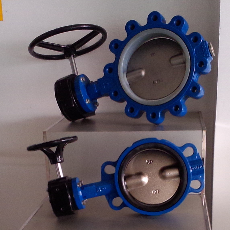 DIN Pn16 304 Disc Ductile Iron Body Lever Handle Wafer Butterfly Valve Globe Valve Industrial Valve