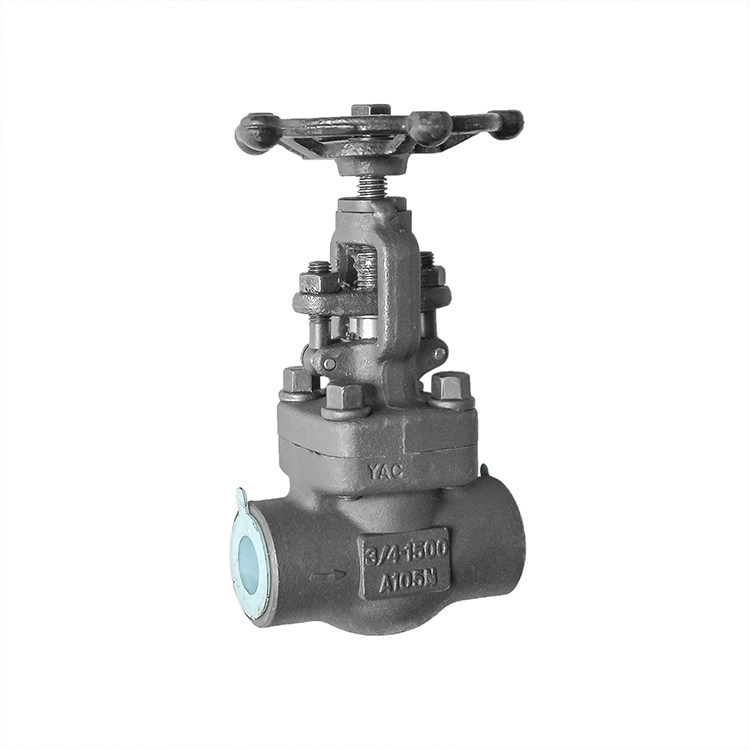 Forged Steel Thread Connection Carbon Steel Globe Valve A105 Manual Globe Valve Uses