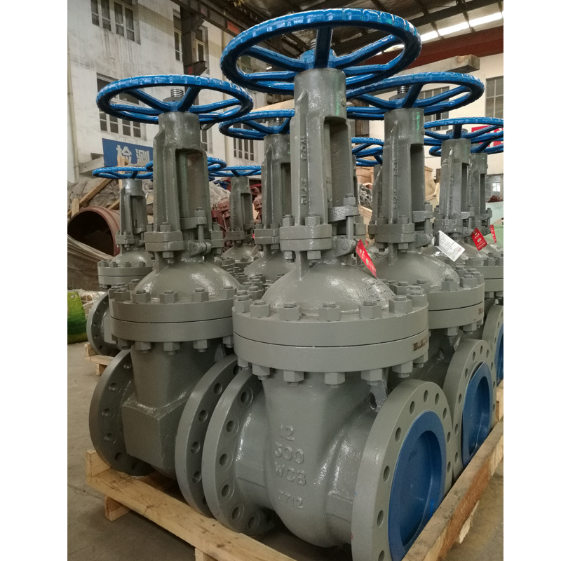 API Flange Type Handwheel Non-Rising Resilient Gate Valve OS&Y Wcb Gate Valve Non Return Valve Globe Valve