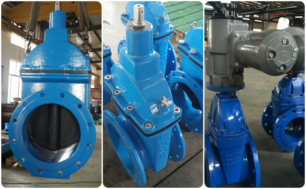 Double Flanges Industrial Gate Valve for Potable Water System / Dci Gate Valve / Industrial Gate Valve