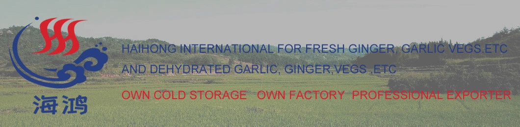 2019 New Crop Chinese Fresh Ginger/Dried Ginger/Air Dried Ginger