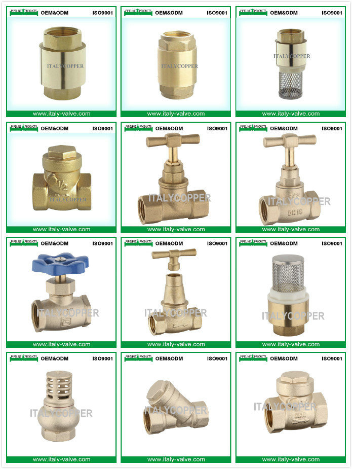 Quality Brass Non- Return Spring Check Valve (AV-CV-5002)