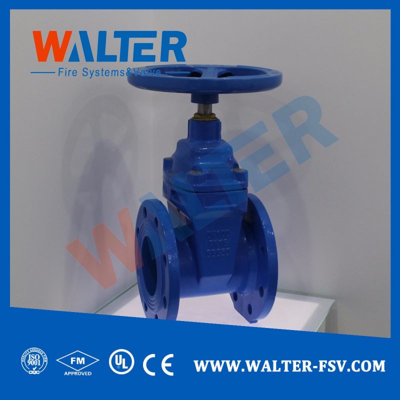 Resilient Seat Gate Valve for Pump