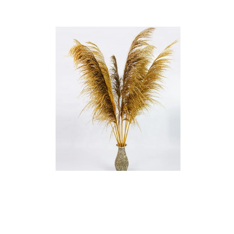 Artificial Tall Pampas Grass Dried Preserved Flowers and Plants