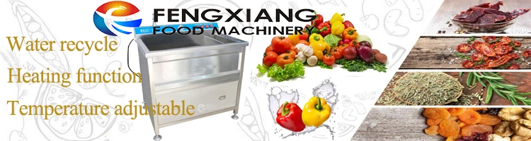 Bubble Washing Vegetable Temperature Adjustable Frozen Meat Thawing Machine