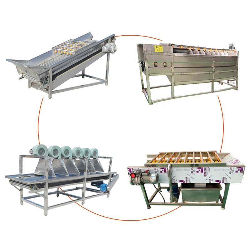 Vegetable Machine Baby Carrot Cutting Washing Peeling Drying Production Line Carrot Peeler Machine Manufacturer
